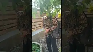 Video VIRAL hari ini youtube 2020 - Youtube VIRAL videos 2020 #16