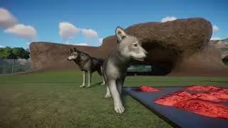 #shorts playful timberwolf puppys!!