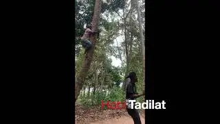 Zanzibar Tanzania HAKUNA MATATA Song by local coconut harvester  - 2023 NEW YEAR SONG