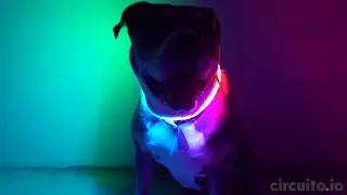 LEDog Collar by circuito.io