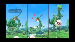 Mega Rayquaza raid event went CRAZY!! Almost a Shundo!