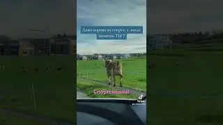 #shortsvideo #shorts #sport
