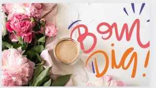 BOM DIA 🌞🌻