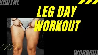Killer LEG DAY!!