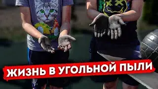 Почему почернела деревня Вистино? Угольный край Ленинградской области