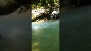 Проба воды перед водопадом на реке Курджипс. Поселок Мезмай.