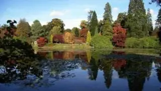 Sheffield Park Garden! USELESS TREES
