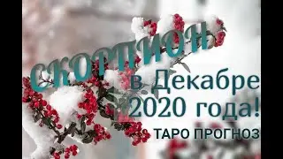 СКОРПИОН! ТАРО ПРОГНОЗ НА ДЕКАБРЬ 2020 ГОДА!