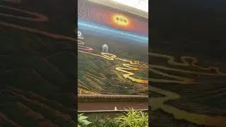🛕 Tirumala Tirupati Temple Andhra Pradesh | Part 14 | 