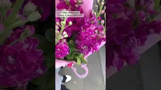 С днём рождения , Любимая и с 1м годикОММ нас 🙏🏾