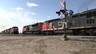 CN Train Spotting HD: CN 8928 & 2442 Meets CN 2269 2537 2663 IC 1025 & CN 2314 1/4 5/8/14