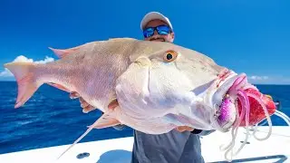 Giant Mutton Snapper on Octopus Jigs! (Marco Island)