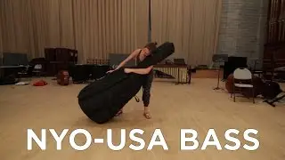 True Life: I'm a Bassist