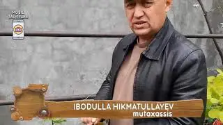 OBOD XONADON efir 25 04 2020