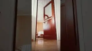 это рофл