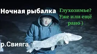НОЧНАЯ РЫБАЛКА. Жерлицы на щуку, ночной трофей. р.Свияга
