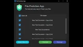 Python File Protection App