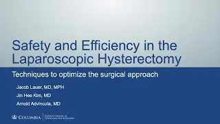 Safety and efficiency in the laparoscopic hysterectomy: Techniques to optimize the surgical approach