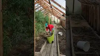 БОЛЬШЕ НЕ БУДУ СТОЛЬКО САЖАТЬ!