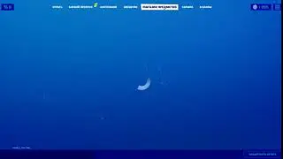Самое короткое видео в мире!