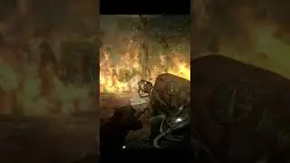Ужасные пауки