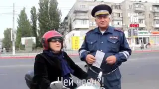Приколы! Смешное видео! Смешные приколы! Лучшие приколы! ТП! Смешные животные! 56