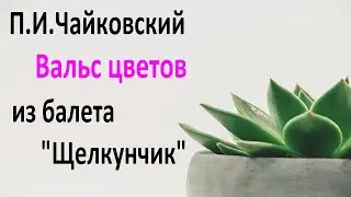 П.И. Чайковский. Вальс цветов из балета 