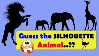GUESS THE SILHOUETTE ANIMALS?  # 01 || ROCKCLIMBERS ||2020