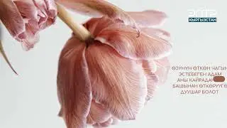 Асыл ойлор жан дүйнөнүн азыгы!