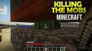 KILLING THE MOBS IN MINECRAFT - GAMEPLAY || Play with Divay