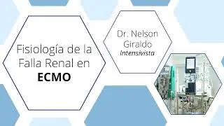 Fisiología de la falla Renal en ECMO