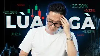 Trader ĐI HỌC LÀ BỊ LÙA GÀ, Điều Đó Sai Hoàn Toàn?