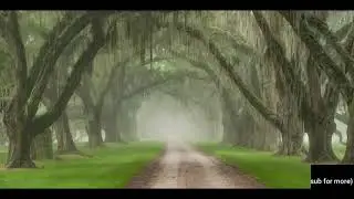Scary?(2021)