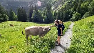 🇨🇭 Axalp Switzerland - June 2024