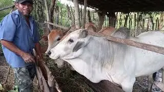 Tiozinho de ferias no sitio rosendo