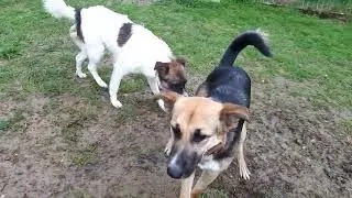 Zoe, Bole und Pol 15 04 23