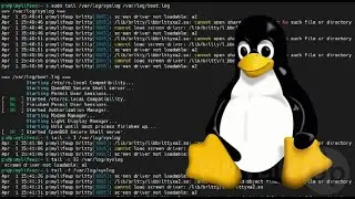 Разбираюсь с утилитой tail в Linux, Windows и WSL.