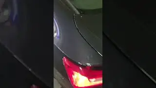 Avis Car Rental