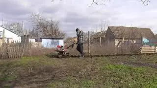 Культивация мотоблоком. Лошадка опять в работе
