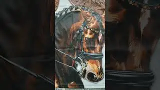 футболка 👕 #music #spotify #remix #cover #song #horse #funnyanimal #humor #equestrian #funnyhorse