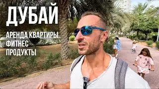 Квартира в Дубае для нашей семьи. Спальный район JVC. Цены на жилье, фитнес, продукты. Февраль 2024
