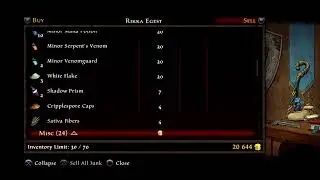 Kingdoms of Amular Re-Reckoning Very Hard difficulty playthrough Part 1