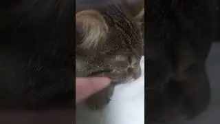 😺😺😺❤️❤️