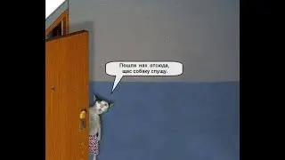 МОИ НАХОДКИ - Дядя - Кастаролог