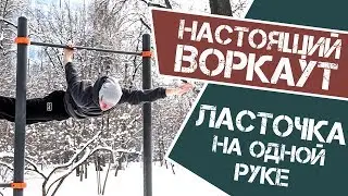 Элемент 26. Ласточка на одной руке