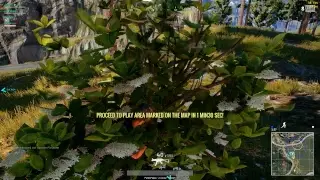PUBG