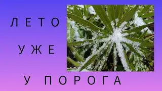 Лето уже у порога....