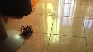 Agol_1.0 Progetto Raspberry Pi