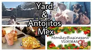 Backyard Morning and Mexican Antojitos | Vlogmas #30
