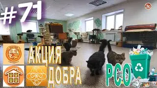 АКЦИЯ РСО ♻ и АКЦИЯ ДОБРА в помощь бездомным животным #71 / СербаТВ 🔴
